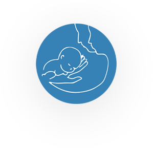 Logo1.png8 Logo